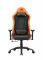Крісло для геймерів Cougar Explore Racing Black/Orange