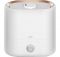 Зволожувач повітря Deerma Humidifier 4,5L White (DEM-ST635W)