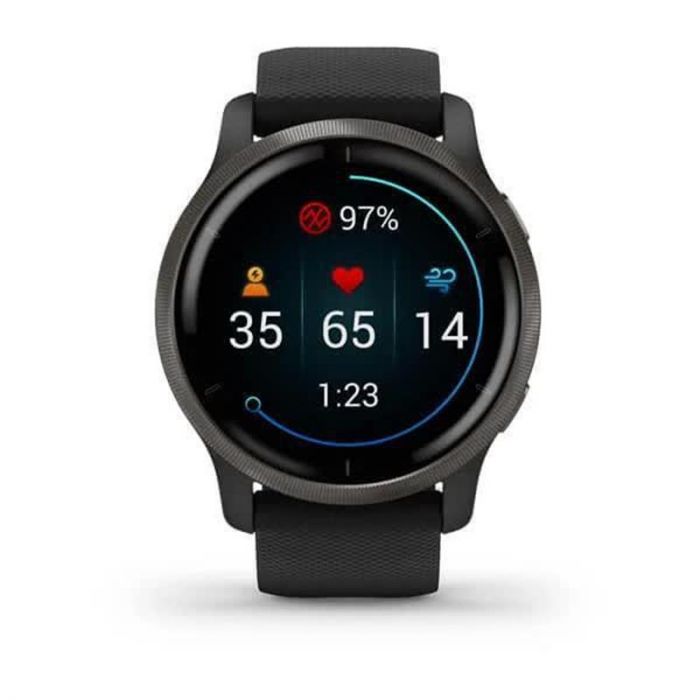 Смарт-годинник Garmin Venu 2 Plus Slate/Black with Black Band (010-02496-11)