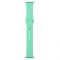 Ремінець Armorstandart Sport Band (3 Straps) для Apple Watch 38mm/40mm/41mm Spearmint (ARM57872)