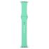 Ремінець Armorstandart Sport Band (3 Straps) для Apple Watch 42mm/44mm/45mm Spearmint (ARM57873)