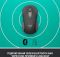 Миша бездротова Logitech Signature M650 L Graphite (910-006236)