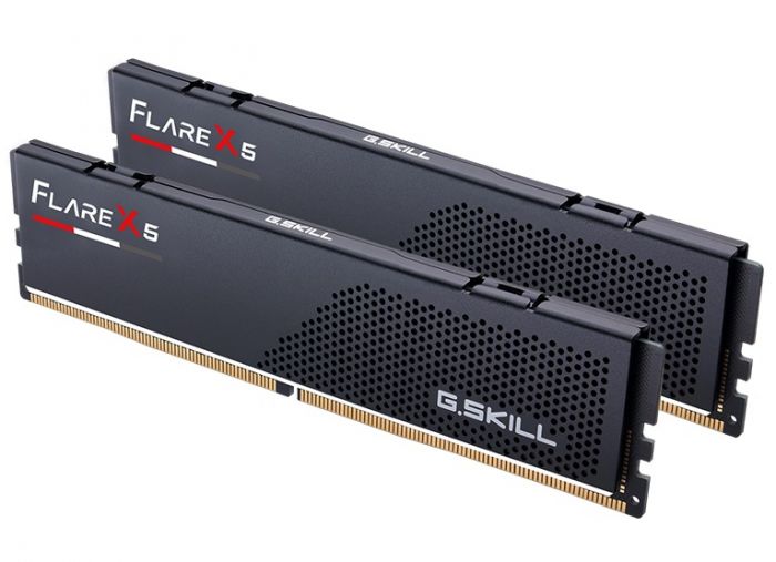 Модуль пам`ятi DDR5 2x24GB/5600 G.Skill Flare X5 (F5-5600J4040D24GX2-FX5)