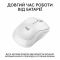 Мишка бездротова Logitech M240 Silent Off White (910-007120)