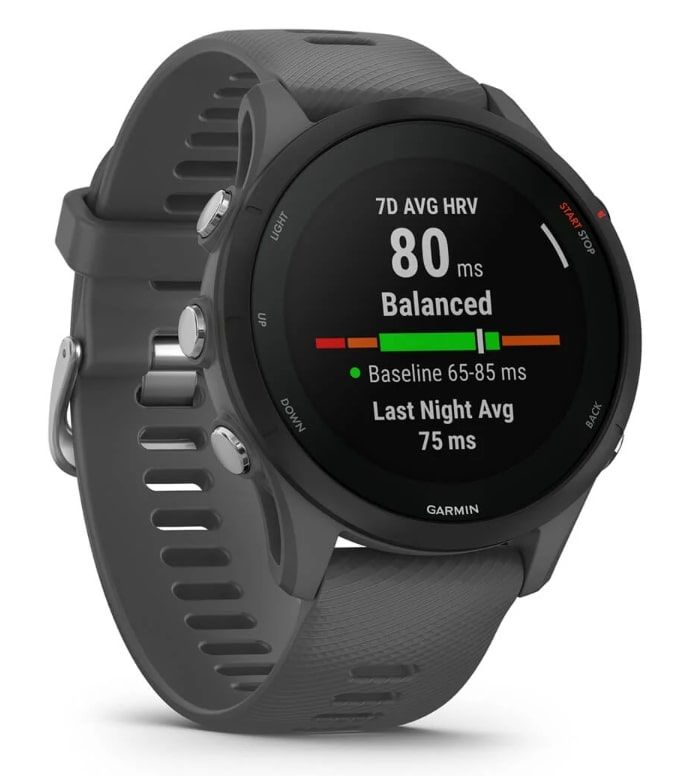 Смарт-годинник Garmin Forerunner 255 Slate (010-02641-43)