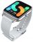 Смарт-годинник Haylou RS4 Plus LS11 Silver with Magnetic Strap