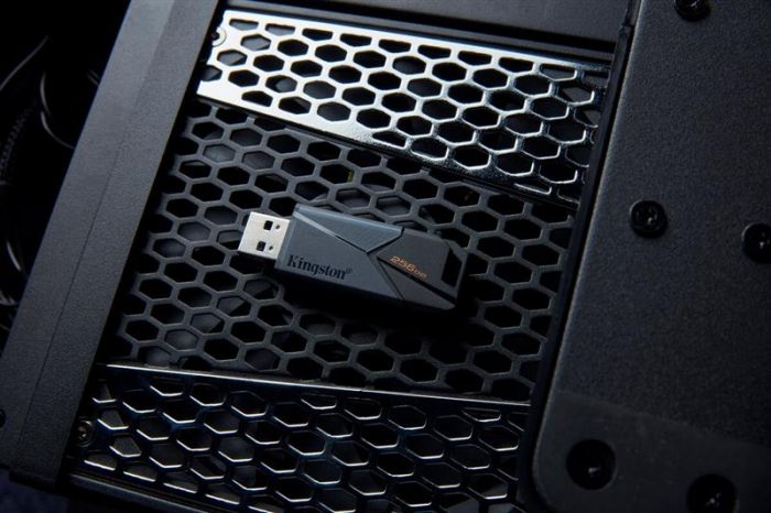 Флеш-накопичувач USB3.2 64GB Kingston DataTraveler Exodia Onyx (DTXON/64GB)