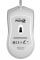 Миша Hator Pulsar 2 White (HTM-511)