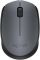 Мишка бездротова Logitech M170 (910-004642) Grey/Black USB