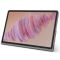 Планшет Lenovo Tab Plus TB351FU 8/256GB Luna Grey (ZADX0043UA)