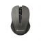 Миша бездротова Canyon CNE-CMSW1G Grey