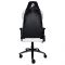 Крісло для геймерів 1stPlayer DK2 Black-White Крісло для геймерів 1stPlayer DK2 Black-White