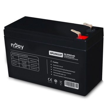 Акумуляторна батарея Njoy GPL09122F 12V 9AH (BTVACIUOCTA2FCN02B) VRLA 