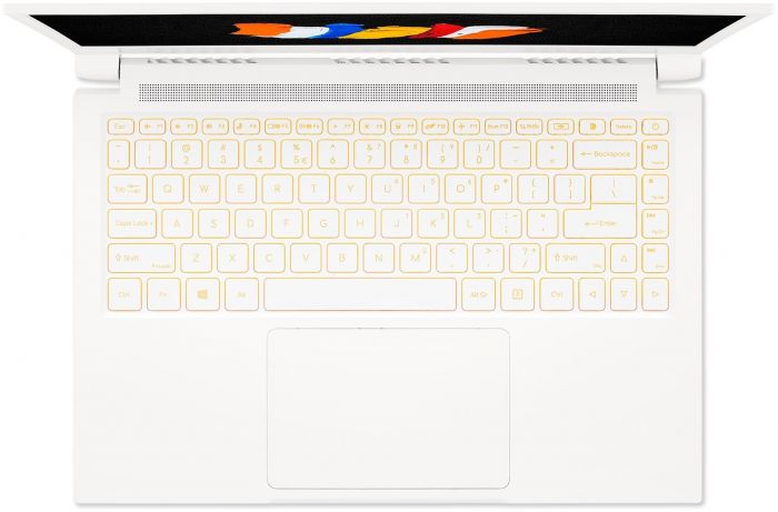 Ноутбук Acer ConceptD 3 CC315-72P (NX.C5QEU.003) Win10Pro