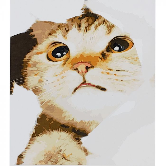 Картина за номерами Strateg ПРЕМІУМ Допитливе кошеня з лаком розміром 30х40 см (SS6633)