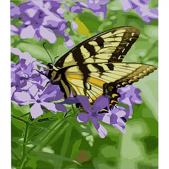 Картина за номерами Strateg ПРЕМІУМ Контури метелика з лаком розміром 30х40 см (SS-6502)