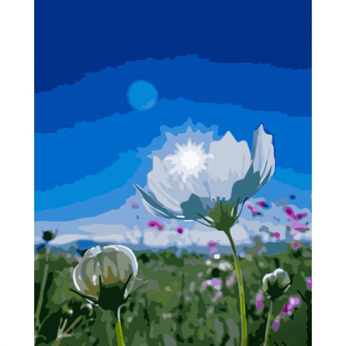 Картина за номерами Strateg ПРЕМІУМ Польові квіти розміром 40х50 см (GS605)