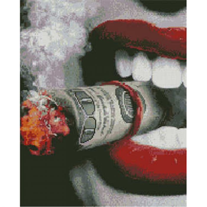 Алмазна картина Strateg ПРЕМІУМ Долари в зубах розміром 40х50 см (L-030)